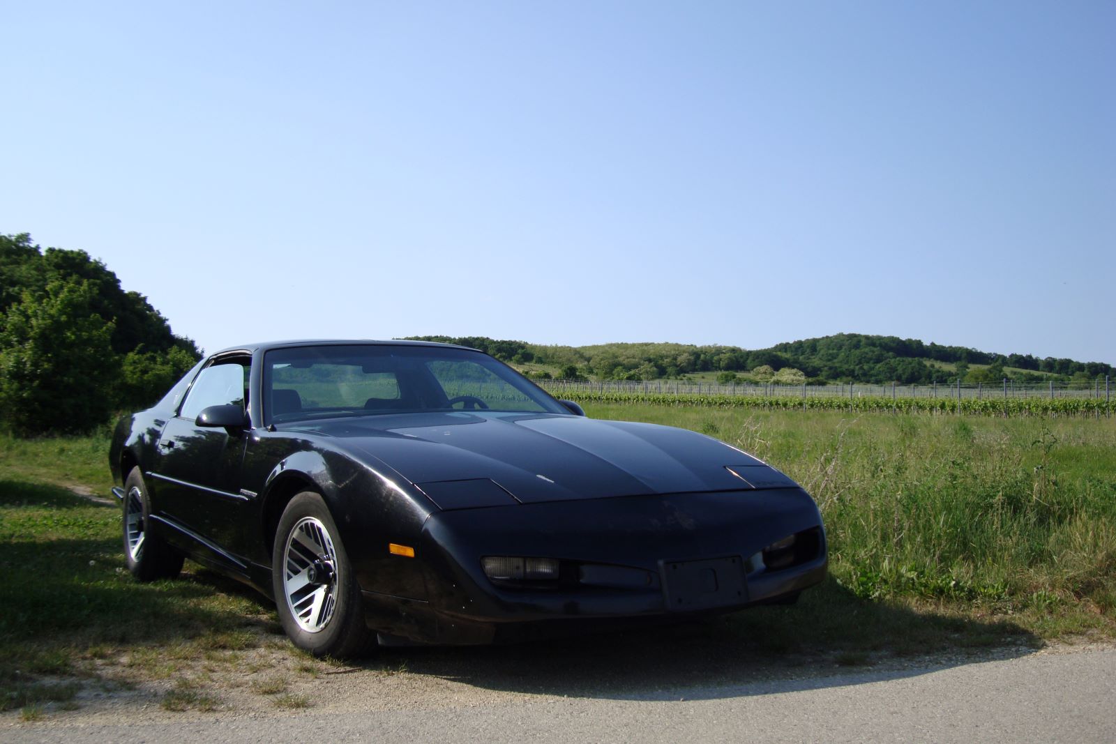 LUMPI 1991 FIREBIRD